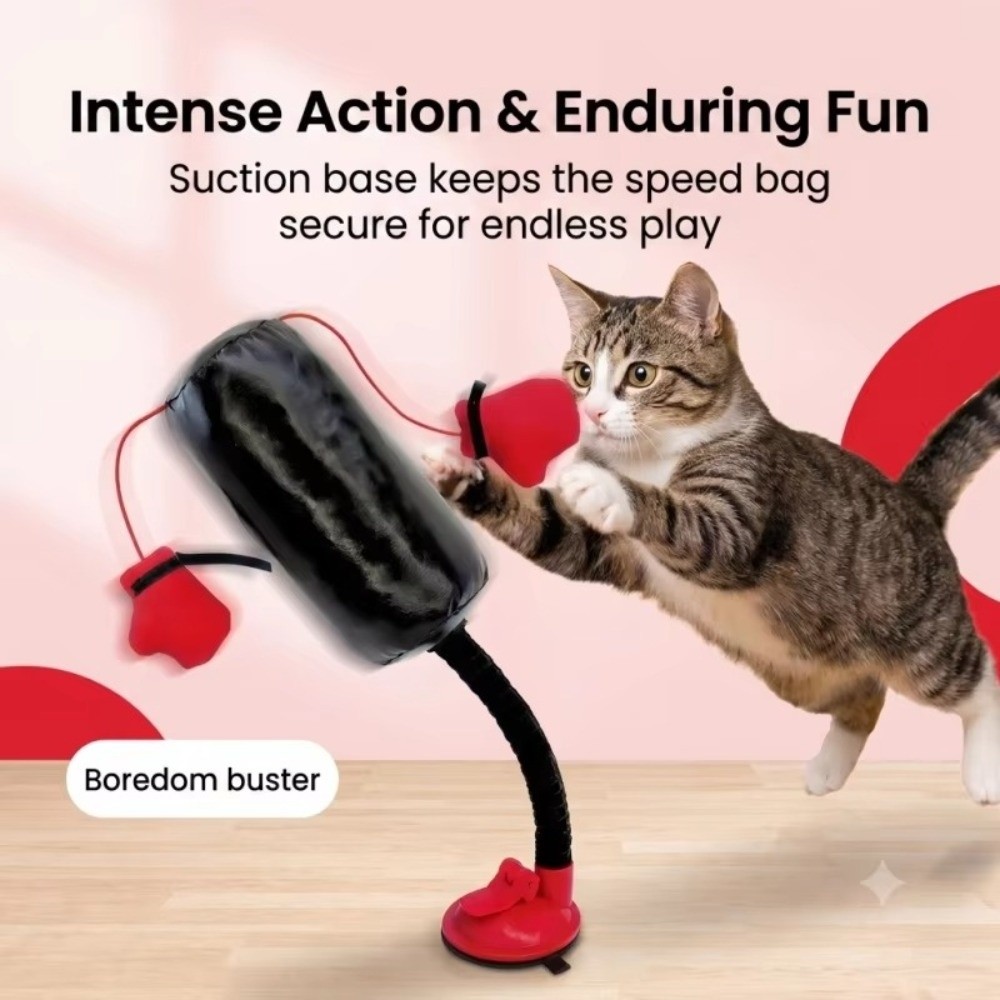 Suction Cup Base Cat Boxing To - Boxing Bag Stand recension och pris