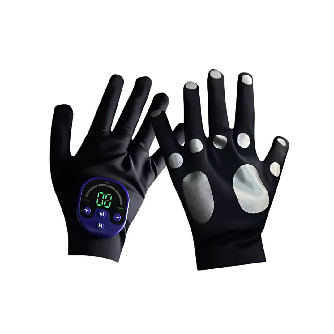 EMS Gloves for Horses Electric - Home Gym App recension och pris