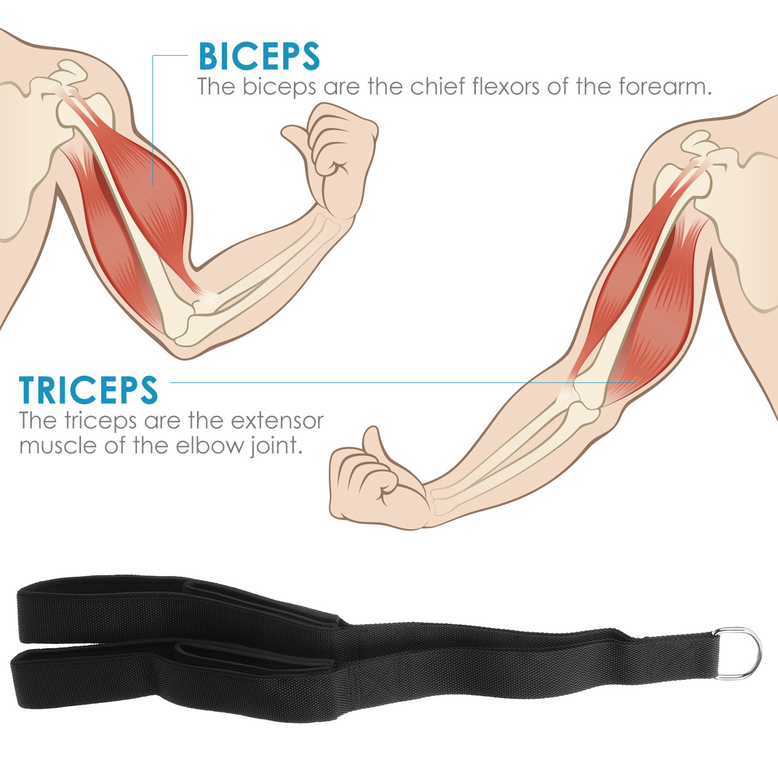 Dual Grip Tricep Pull Rope Hea - Home Gym Hammer Strength recension och pris